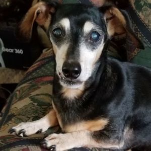 Meet your Posher, Bernadette